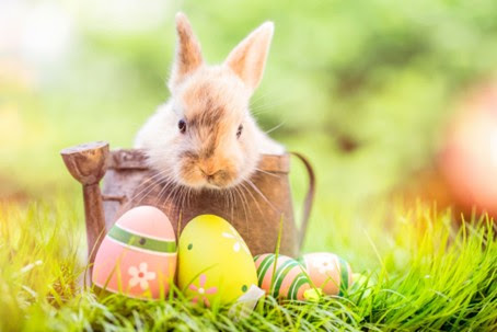 Pasqua Azzolini 2026